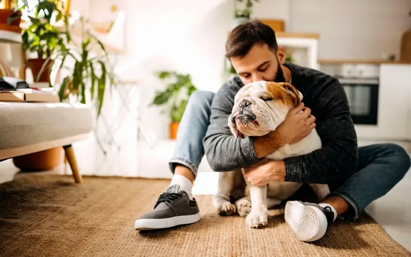 Seguro para Mascotas